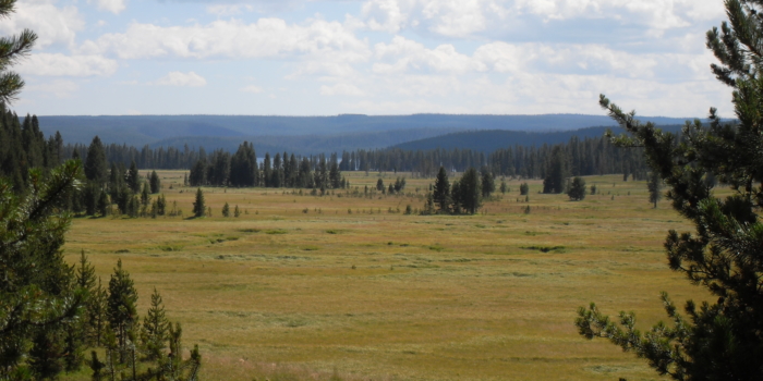 Data Mining Our National Parks